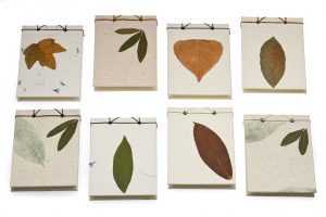 botanical-collection-sarah-baldi-bookbinding