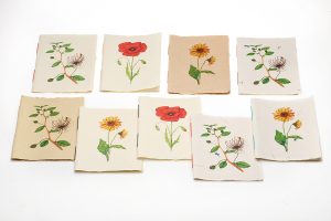 botanical-collection-sarah-baldi-bookbinding